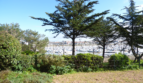 COQUET APPARTEMENT AVEC VUE SUR LE PORT DE SAINT GILLES CROIX DE VIE