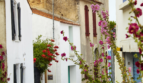 MAISON AU PIED DE LA GRANDE PLAGE SAINT GILLES CROIX DE VIE