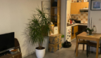 Studio – Les Sables d’Olonne – Quartier des présidents