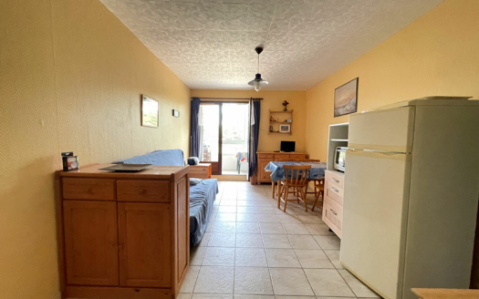 Appartement Saint Hilaire De Riez 2 pièce(s) 34 m2