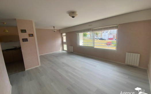 Bel appartement T2 54m2  Quartier des Présidents