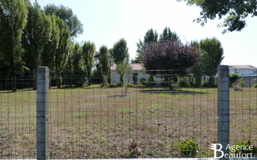 Terrain – Le Fenouiller