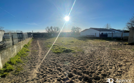Terrain Saint Gilles Croix De Vie