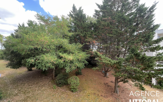 Appartement Saint Jean De Monts 3 pièce(s) 54.62 m²