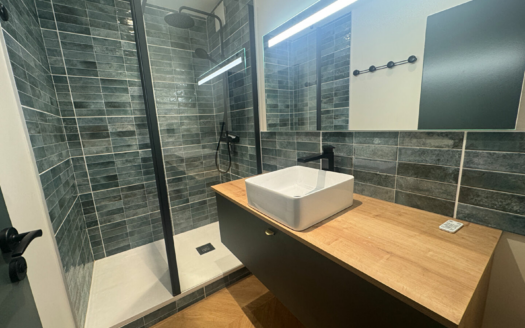 Appartement Saint Jean De Monts 1 pièce(s) 30 m2