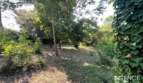 Maison Saint Jean De Monts 84 m2