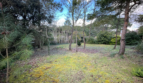 Maison Saint Jean De Monts 84 m2