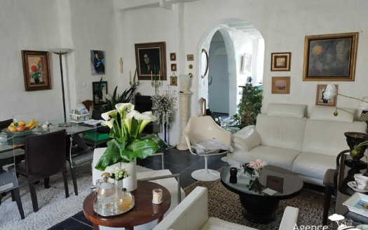 Appartement CENTRE VILLE