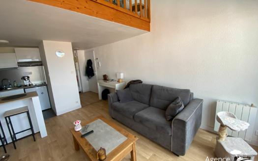 Appartement T1 bis - Quartier Gare