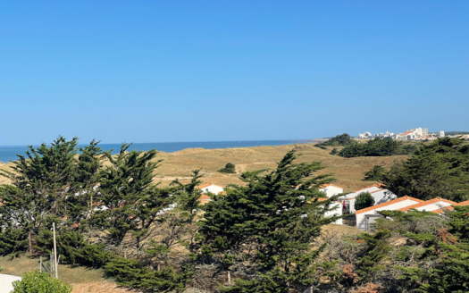 Appartement Saint Hilaire De Riez 2 pièce(s) 26m²