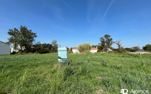 Terrain Saint Hilaire De Riez