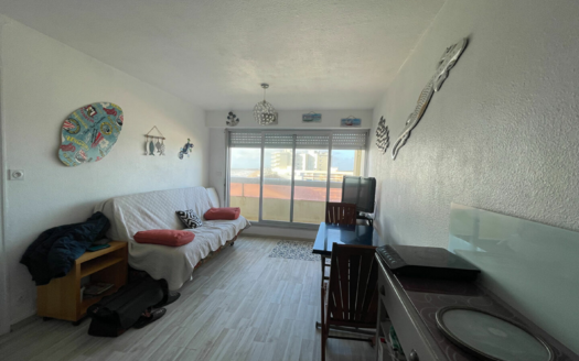 Appartement Saint Hilaire De Riez 2 pièce(s) 29.27 m2