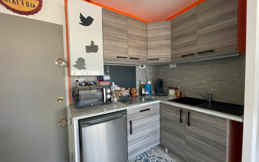 Appartement Saint Hilaire De Riez 2 pièce(s) 29.27 m2