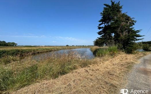 Terrain de loisirs avec marais - Le Fenouiller