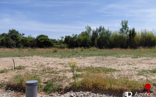 Terrains à bâtir - Les Chardonnettes - Le Fenouiller