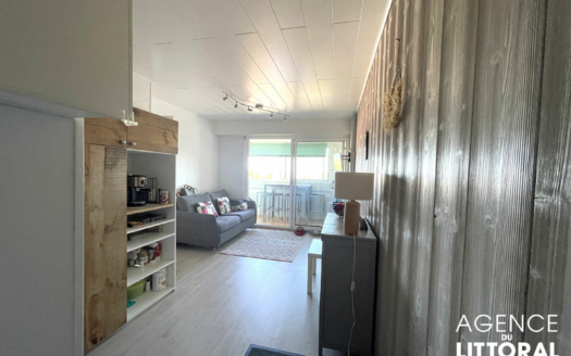 Appartement Saint Hilaire De Riez 2 pièce(s) 26m²