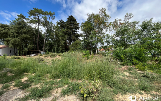 Terrain - Saint Hilaire De Riez