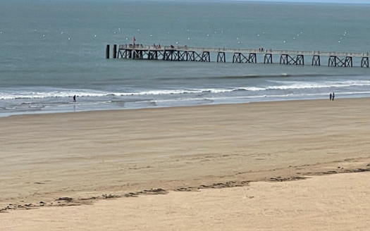 Appartement Saint Jean De Monts 2 pièce(s) 40.82 m²