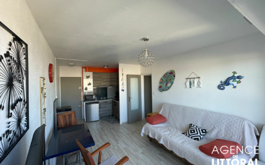 Appartement Saint Hilaire De Riez 2 pièce(s) 29.27 m2