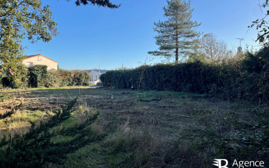 Terrain Saint Hilaire De Riez