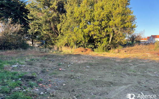 Terrain Saint Hilaire De Riez