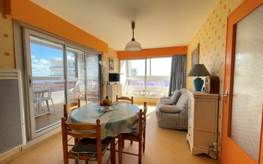 Appartement Saint Hilaire De Riez 2 pièce(s) 36.85 m2