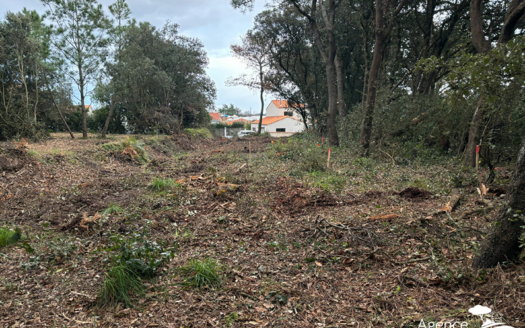 TERRAIN - BOURG PIRONNIERE