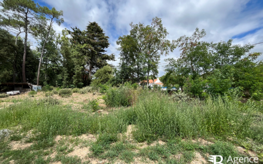 Terrain – Saint Hilaire De Riez