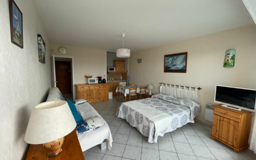 Appartement Saint Jean De Monts 1 pièce(s) 26.11 m2