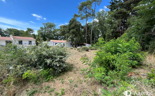 Terrain – Saint Hilaire De Riez