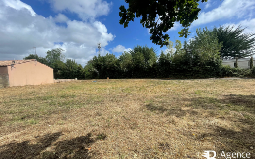 Terrain Notre Dame De Riez