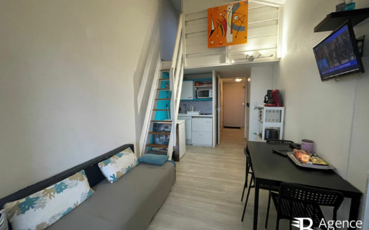 Appartement St Hilaire De Riez
