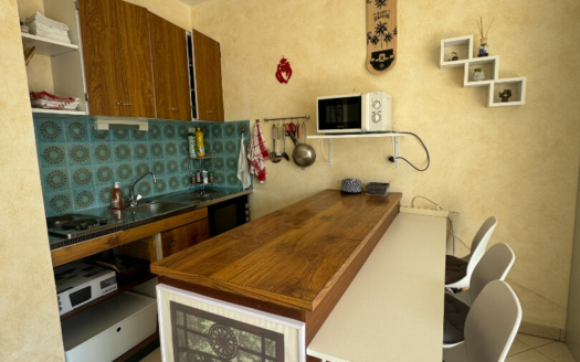 Appartement Saint Jean De Monts 1 pièce(s) 28.51 m2