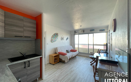 Appartement Saint Hilaire De Riez 2 pièce(s) 29.27 m2