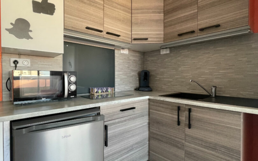 Appartement Saint Hilaire De Riez 2 pièce(s) 29.27 m2