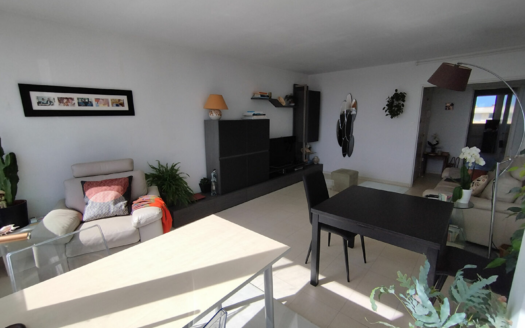 Appartement CENTRE VILLE