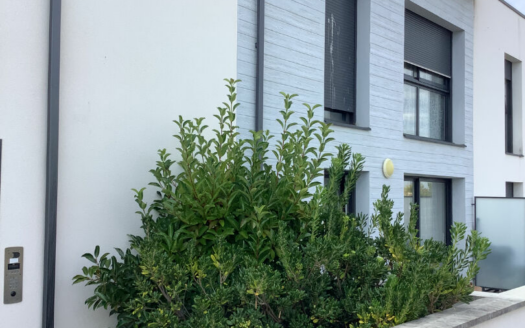 Appartement T3 à louer sur SAINT GILLES CROIX DE VIE