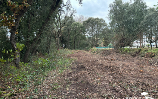 TERRAIN – BOURG PIRONNIERE