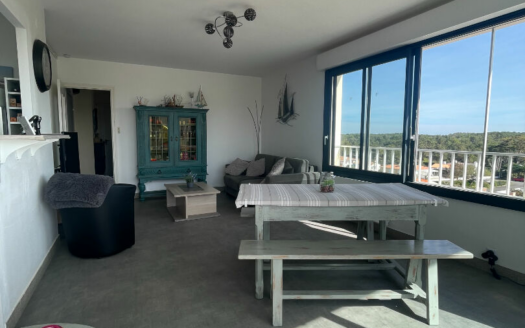 Appartement Saint Jean De Monts 3 pièce(s) 56.43 m²