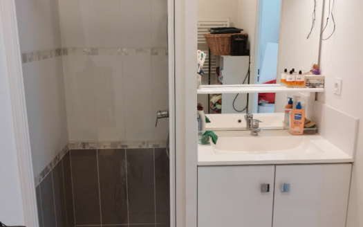 Appartement BOURG CHATEAU
