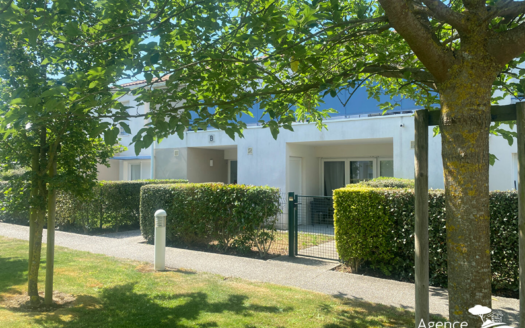 Appartement T1bis RDC terrasse jardin Parking