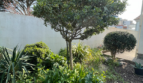 Maison Saint Jean De Monts 4 pièce(s) 72 m2