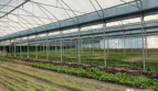 Ensemble agricole – Saint-Hilaire-de-Riez