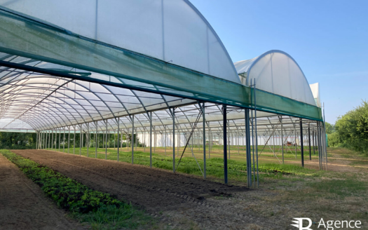 Ensemble agricole - Saint-Hilaire-de-Riez
