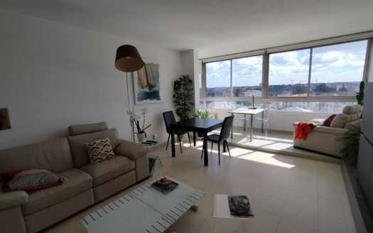Appartement CENTRE VILLE