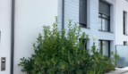 Appartement T3 à louer sur SAINT GILLES CROIX DE VIE