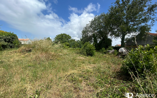 Terrain Saint Hilaire De Riez