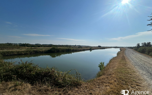 Marais Saint Hilaire De Riez
