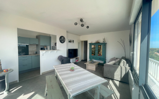 Appartement Saint Jean De Monts 3 pièce(s) 56.43 m²