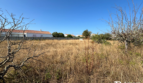 Terrain – Saint Hilaire De Riez